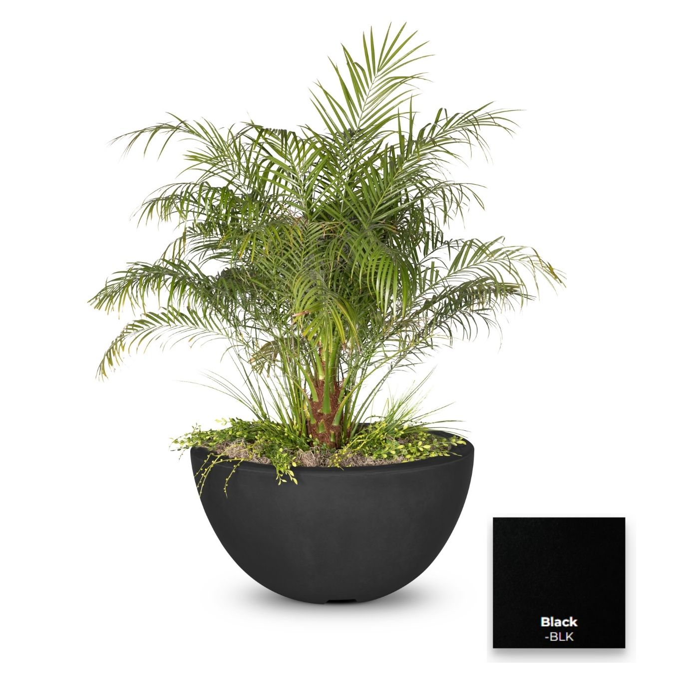 The Outdoor Plus Luna Concrete Planter Bowl.