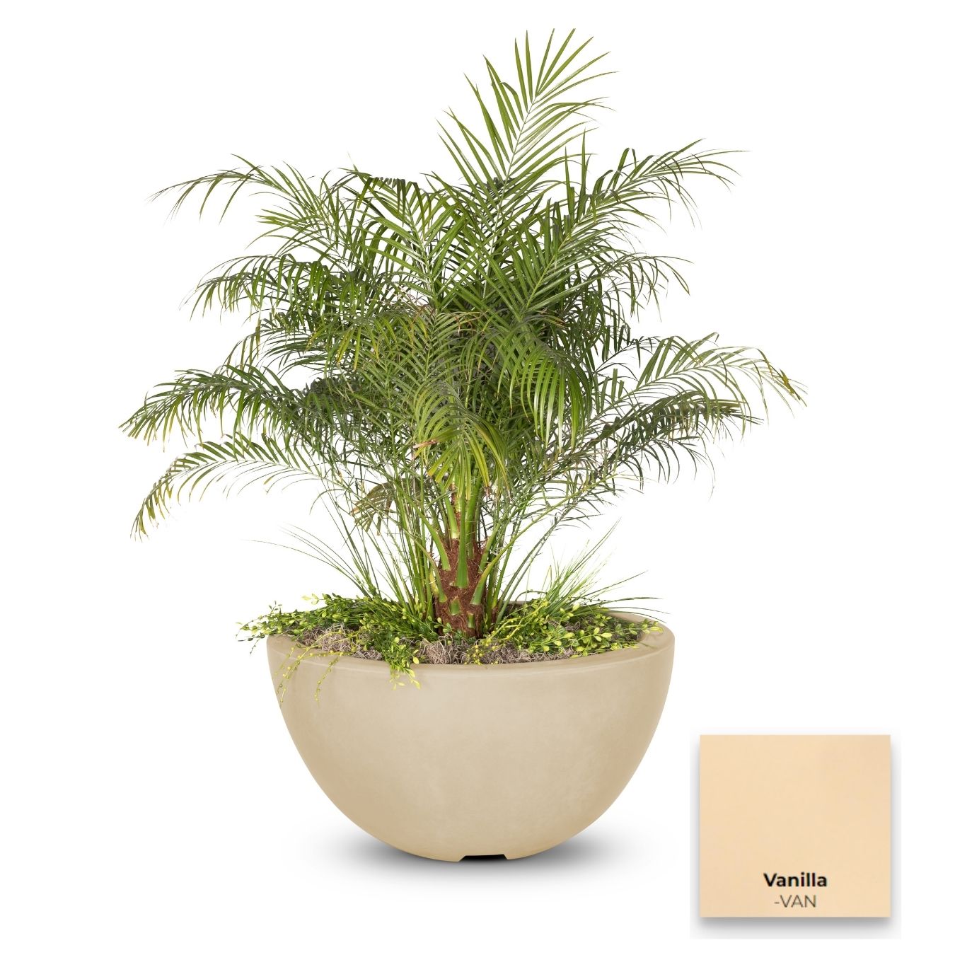 The Outdoor Plus Luna Concrete Planter Bowl.