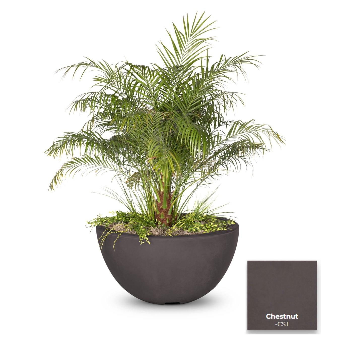 The Outdoor Plus Luna Concrete Planter Bowl.