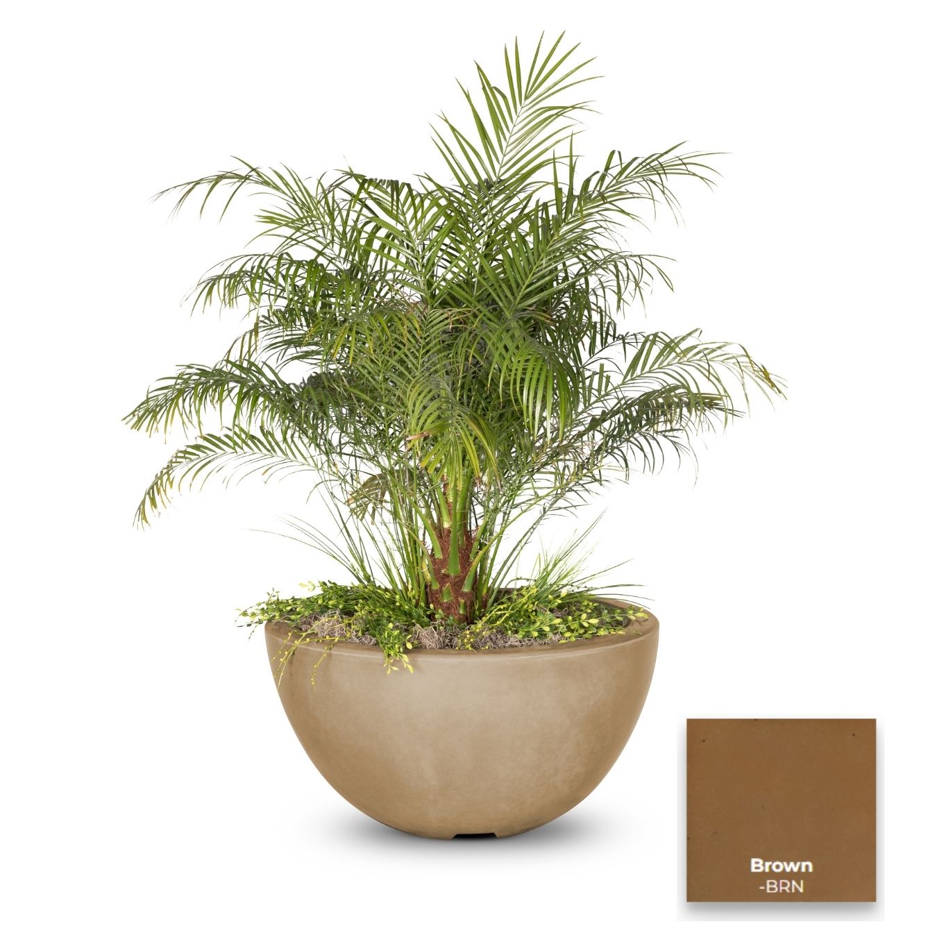 The Outdoor Plus Luna Concrete Planter Bowl.