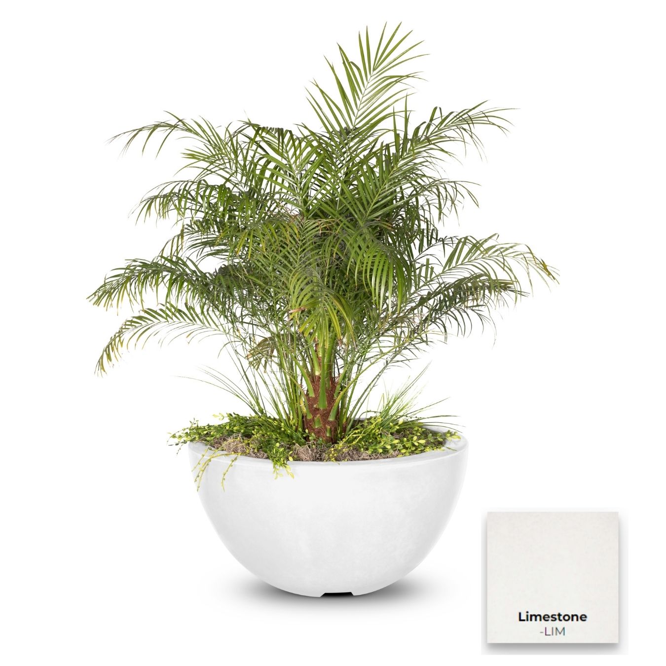 The Outdoor Plus Luna Concrete Planter Bowl.