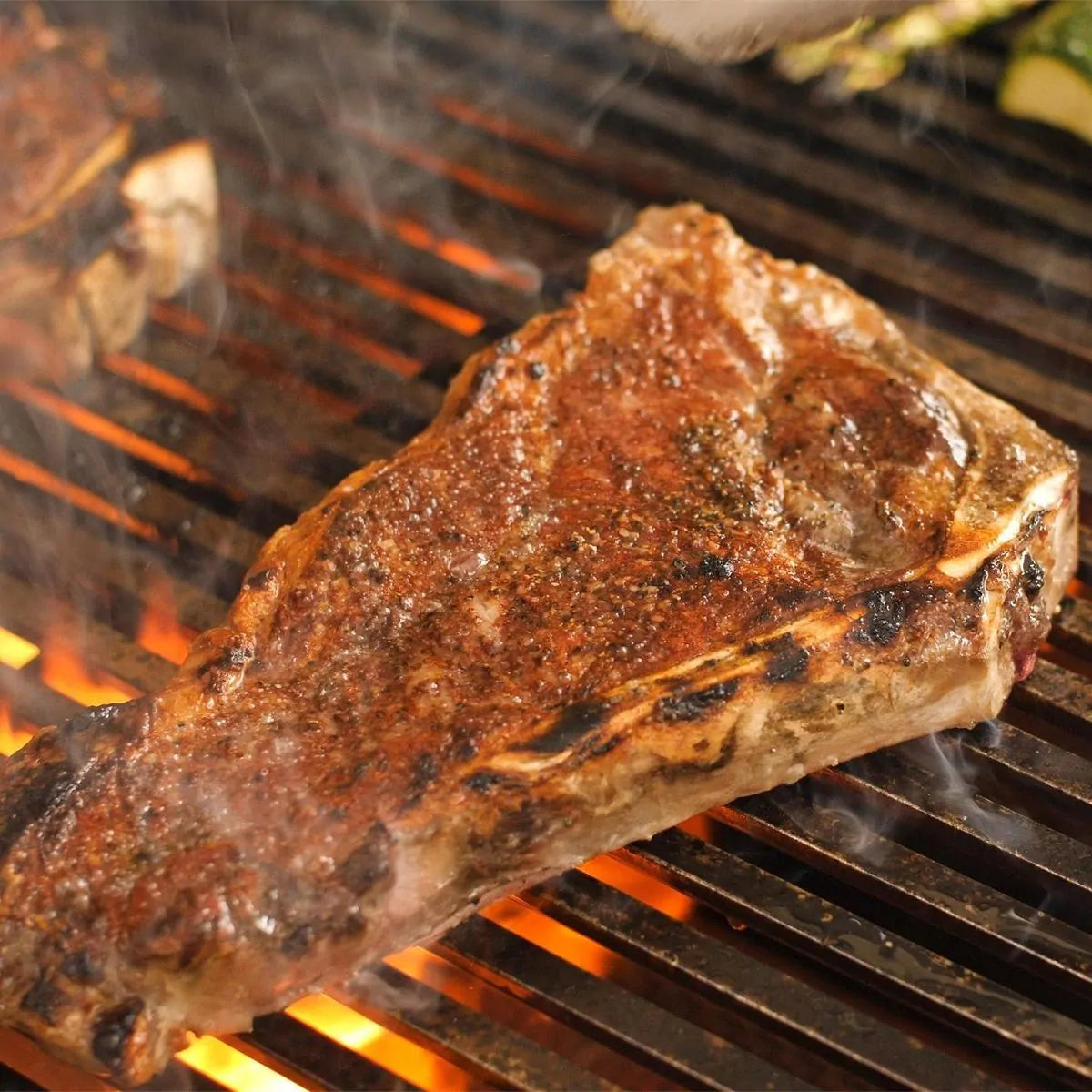 Fire Magic Echelon Diamond E1060s 48-Inch A Series Freestanding Gas Grill With Rotisserie, Single Side Burner, Analog Thermometer & Magic View Window, Natural Gas {E1060S-8EAN-62-W}.