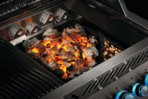 Napoleon Cast Iron Charcoal and Smoker Tray - 67732.