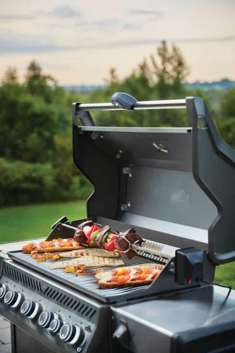 Napoleon Grill Light - 70049.