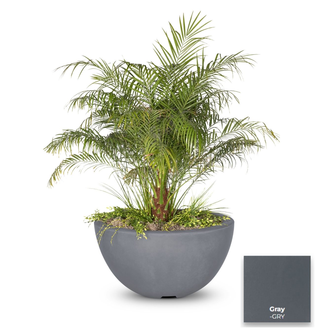The Outdoor Plus Luna Concrete Planter Bowl.
