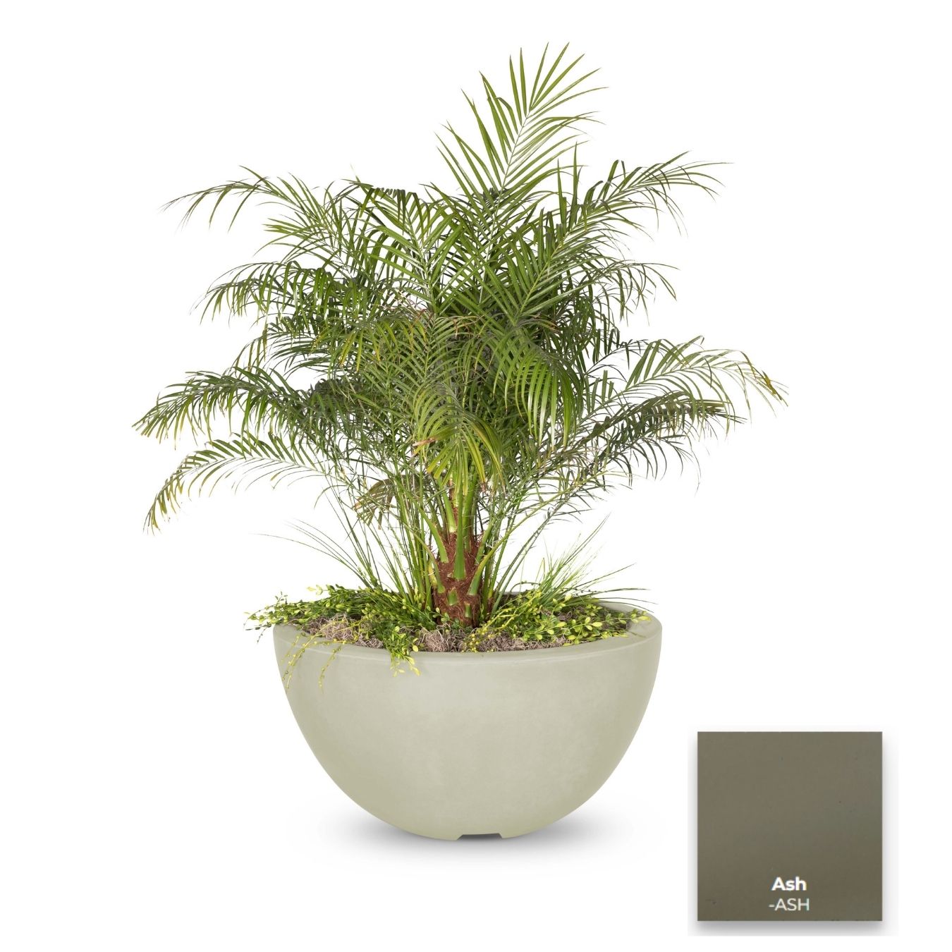 The Outdoor Plus Luna Concrete Planter Bowl.