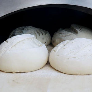 Bull Gas Fired Italian Made Pizza Oven With Cart.