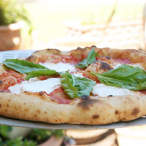 Bull Gas Fired Italian Made Pizza Oven With Cart.