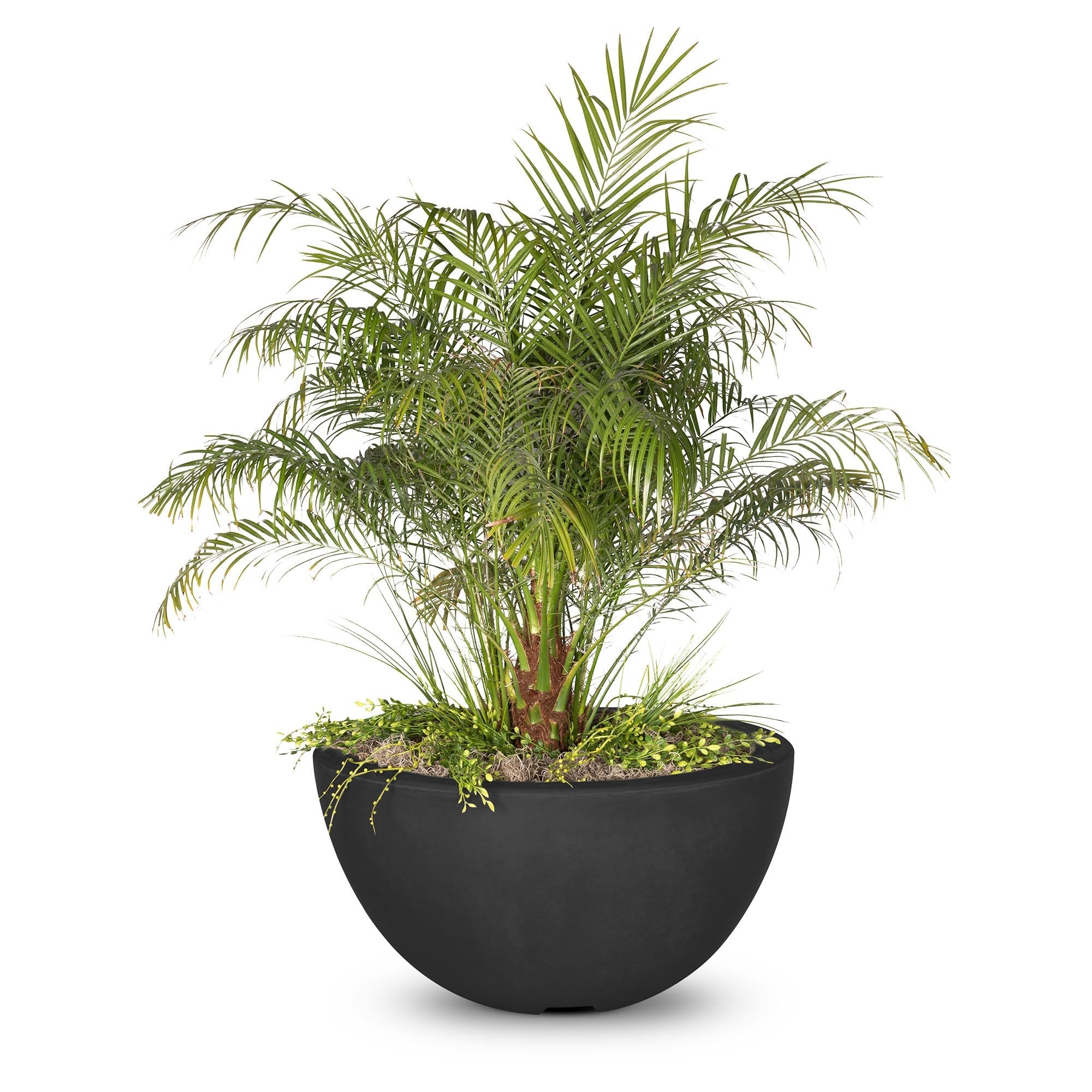The Outdoor Plus Luna Concrete Planter Bowl.
