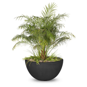 The Outdoor Plus Luna Concrete Planter Bowl.