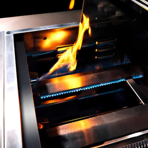 TrueFlame 32 Inch 4 Burner Built-In Gas Grill.