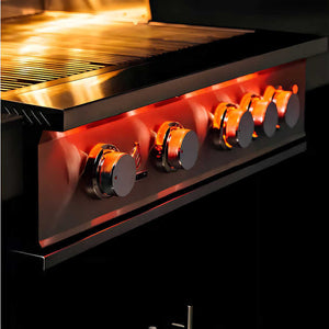TrueFlame 32 Inch 4 Burner Built-In Gas Grill.