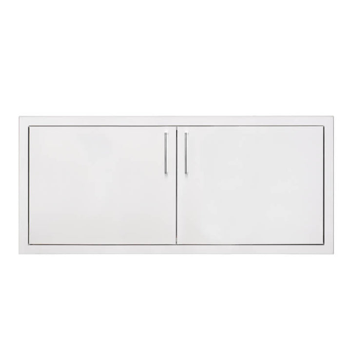 TrueFlame 39-Inch Stainless Steel Double Access Door - TF-DD-39.