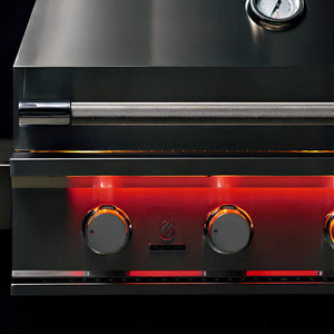 TrueFlame 40 Inch 5 Burner Built-In Gas Grill.