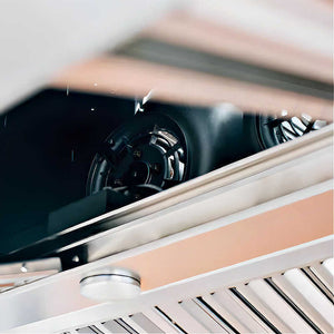 TrueFlame 42 Inch 2000 CFM Outdoor Rated Vent Hood - TF-VH-42.