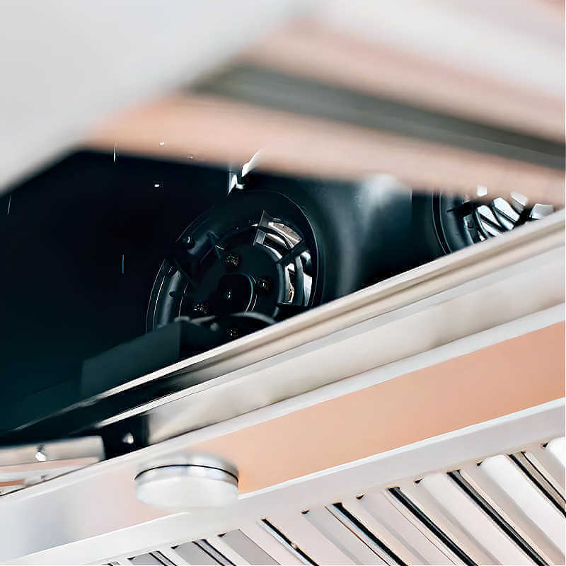 TrueFlame 42 Inch 2000 CFM Outdoor Rated Vent Hood - TF-VH-42.