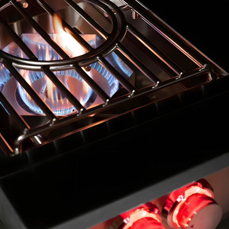 TrueFlame Built-In Stainless Steel Power Burner - TFPB.