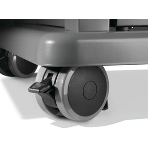 Napoleon Rogue 525 Freestanding Gas Grill.