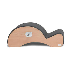 Basi Systems Spine Corrector.
