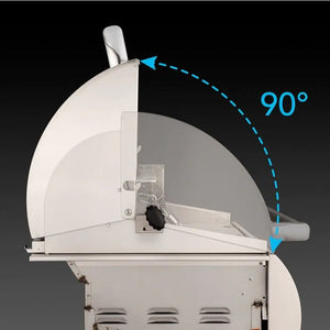 Fire Magic Echelon Diamond E1060i A Series 48-Inch Built-In Gas Grill With Rotisserie & Analog Thermometer, Natural Gas (E1060I-8EAN).