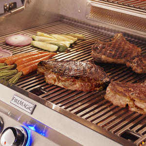 Fire Magic 48-Inch Echelon Diamond Built-In Natural Gas Grill One Infrared Burner in Stainless Steel (E1060I-8L1N).