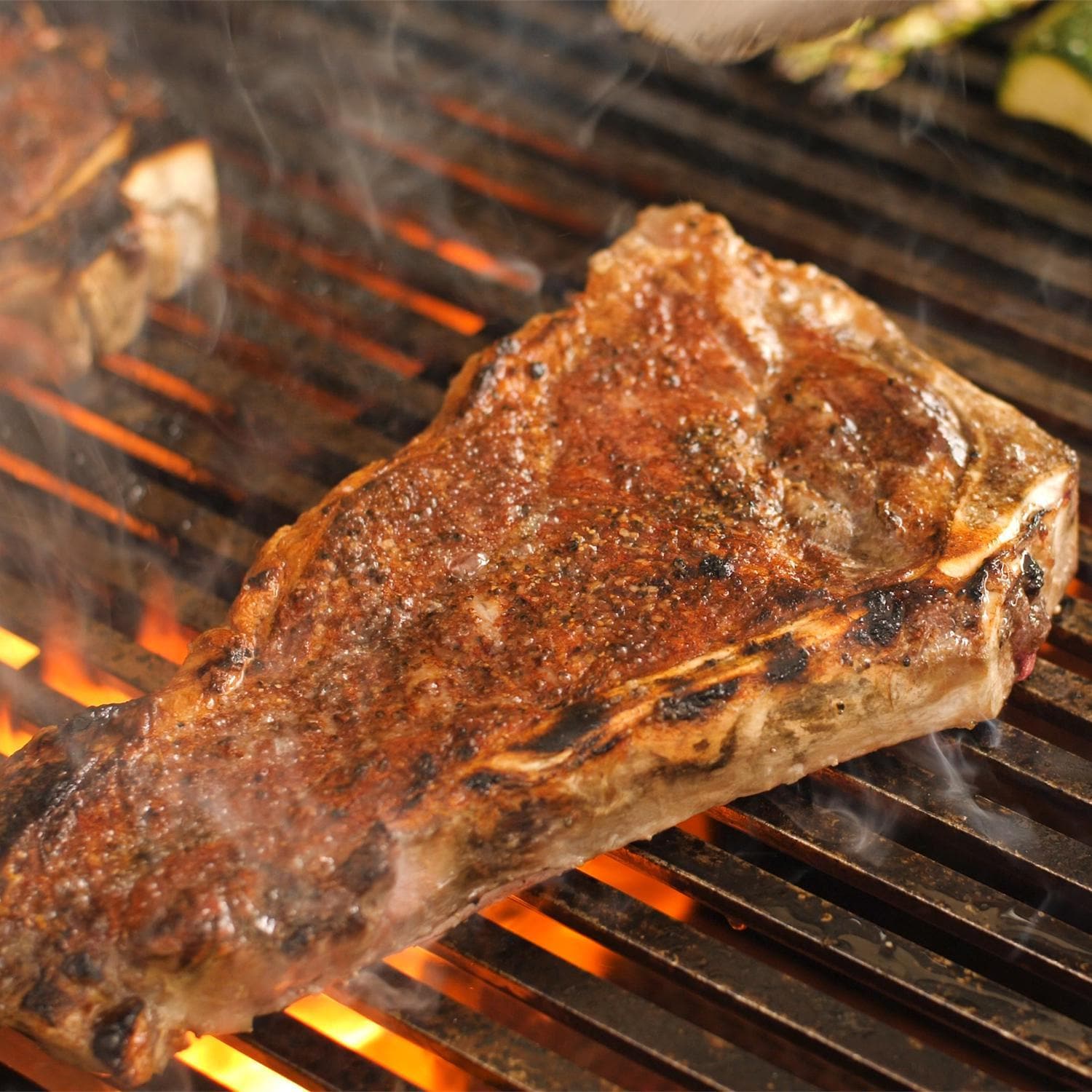 Fire Magic 48-Inch Echelon Diamond Built-In Natural Gas Grill One Infrared Burner in Stainless Steel (E1060I-8L1N).