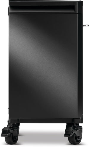 Napoleon Phantom Prestige Under Grill Storage (2 Carts).