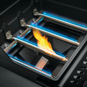 Napoleon F365DSBPGT-ECP Freestyle 365 SB with Range Side Burner.