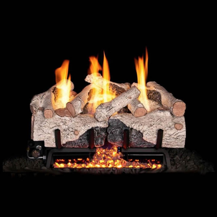 Real Fyre Charred Alpine Birch Vent-Free Gas Log Set Insert.