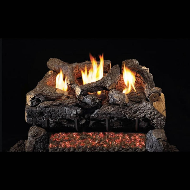 Real Fyre Evening Fyre 24-Inch See-Through Vent-Free Gas Log Set Insert.
