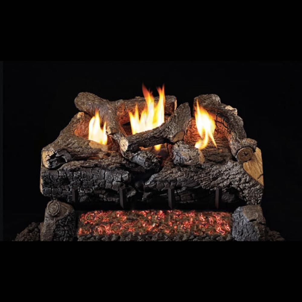Real Fyre Evening Fyre Charred 24-Inch See-Through Vent-Free Gas Log Set Insert.