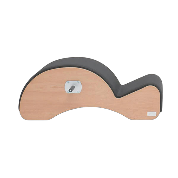 Basi Systems Spine Corrector.