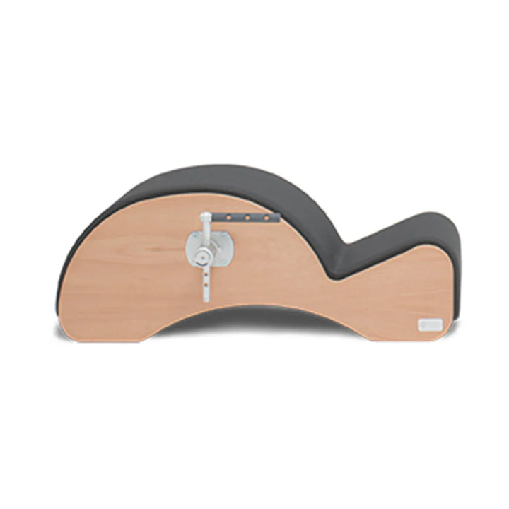 Basi Systems Spine Corrector with F2.